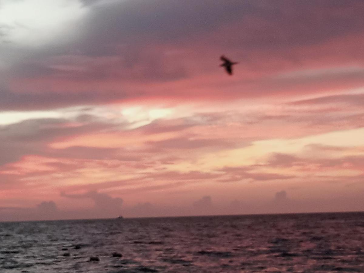Apartament Corazon Del Pescador Cancún Zewnętrze zdjęcie