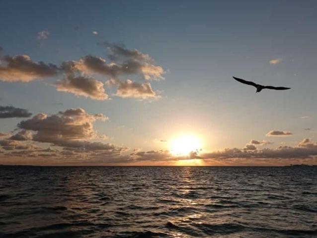 Apartament Corazon Del Pescador Cancún Zewnętrze zdjęcie